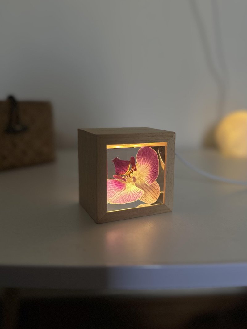 粉兰凝驻|蝴蝶兰树脂水晶球 - 摆饰 - 树脂 粉红色