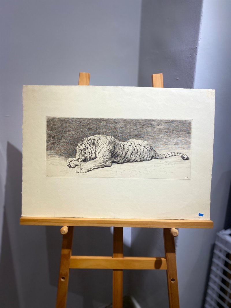 英国艺术家Herbert Dicksee - 19th世纪蚀刻版画 - 老虎 /Tiger - 海报/装饰画/版画 - 纸 黑色