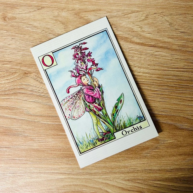 花仙子 字母系列 经典明信片 - Orchis/ 兰花 - 卡片/明信片 - 纸