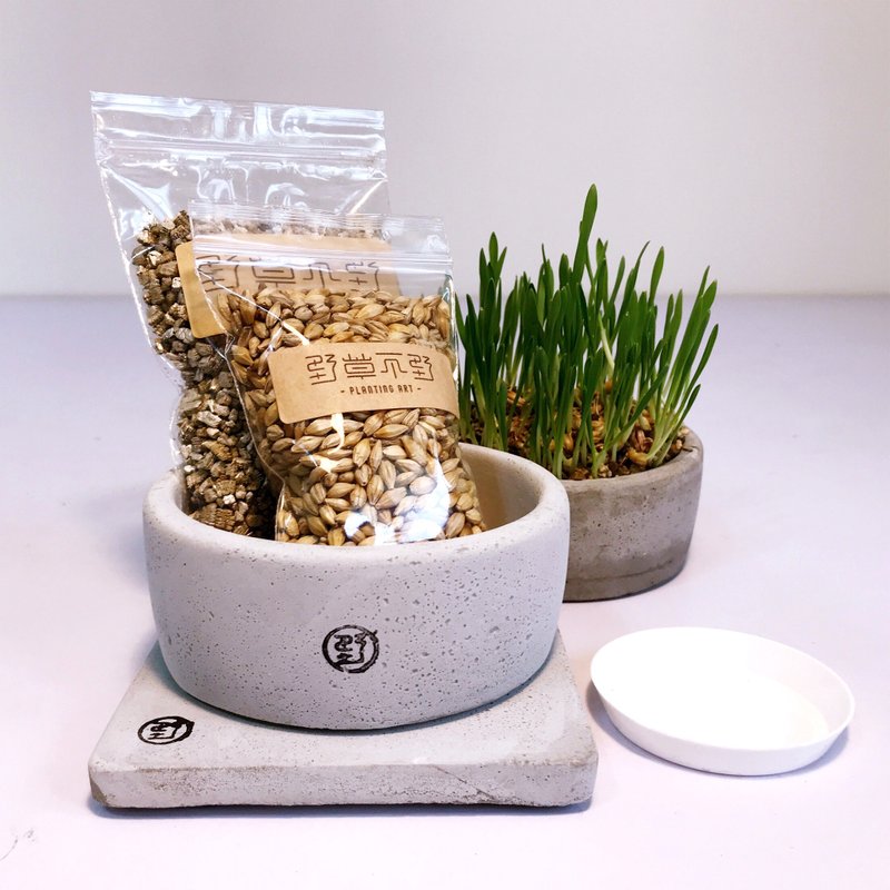 【野草不野】猫草轻松栽培组 / 套装组合包 - 植栽 - 水泥 银色