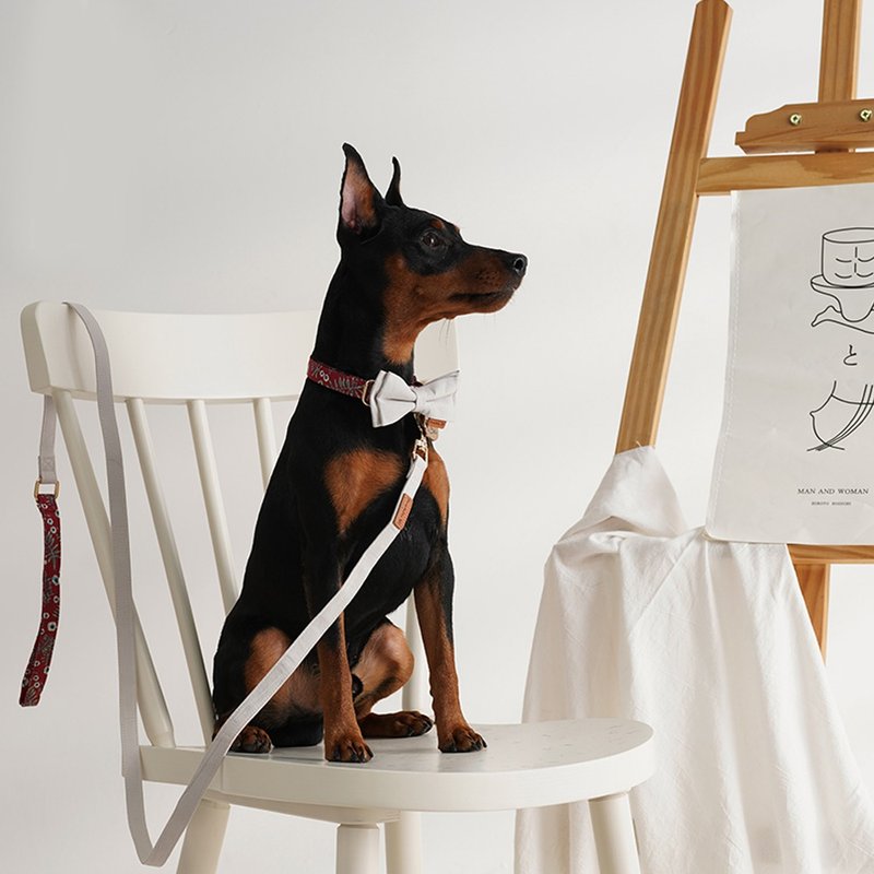 定制/领结可拆/棉质舒适 | 狗猫项圈-小石榴 Pawsholic爪迷 - 项圈/牵绳 - 棉.麻