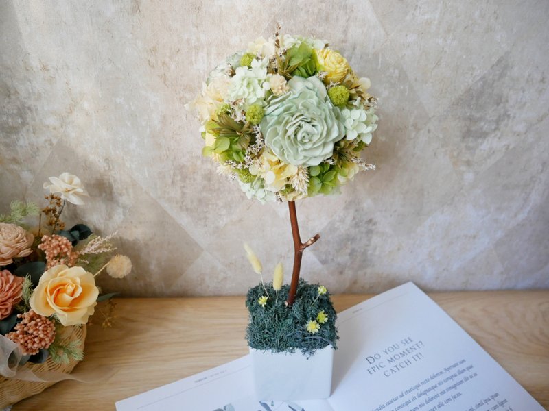 不凋绣球花球树盆花【初夏日和】开幕礼/新居/名片座/定制化 - 植栽/盆栽 - 植物.花 绿色