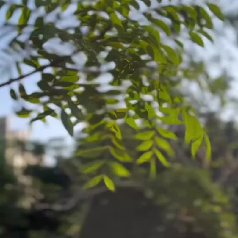 个人淡香水设计  KPIA 大韩调香师体验 - 蜡烛/香氛 - 其他材质