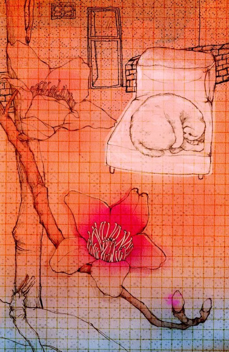 喵喵卡木兰橘 - 卡片/明信片 - 纸 