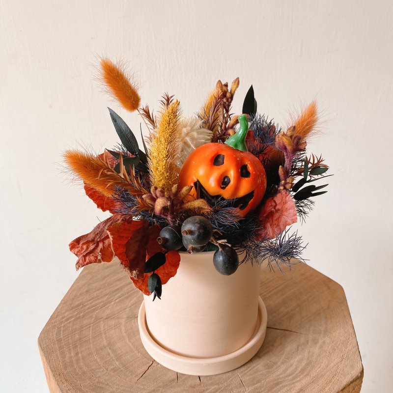 万圣节 永生花小盆花 - 干燥花/捧花 - 植物．花 橘色