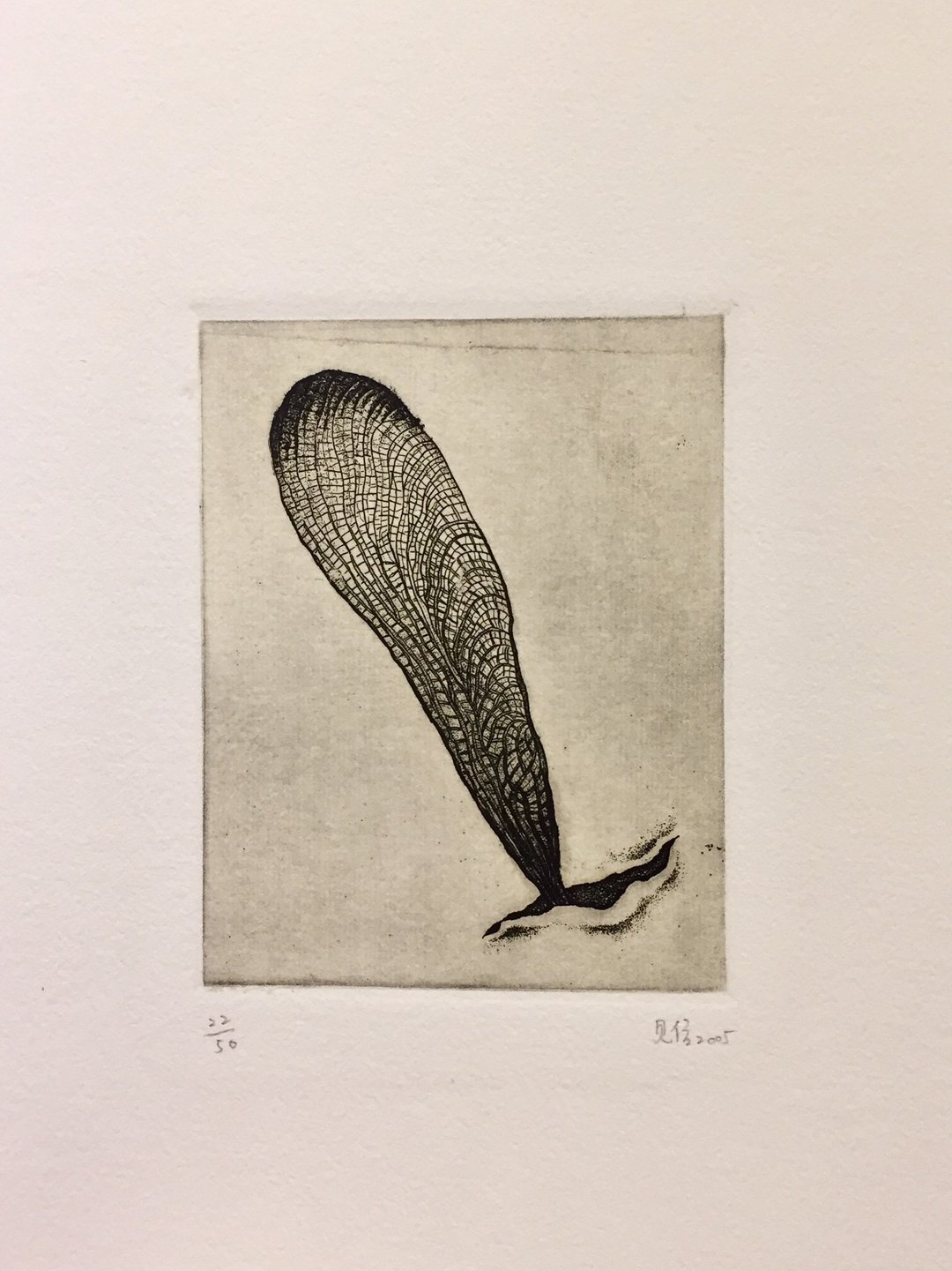 迷你版画原作-羽化-周见信 - 海报/装饰画/版画 - 纸 白色
