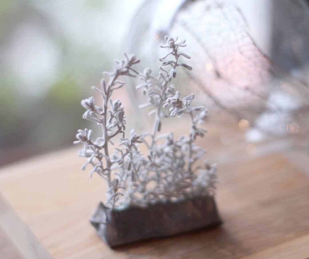 雪季 ￥ 干燥花饰 - 植栽/盆栽 - 其他金属 白色