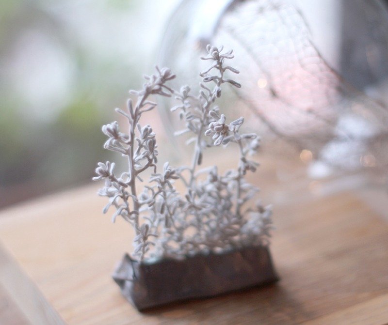 雪季 ￥ 干燥花饰 - 植栽/盆栽 - 其他金属 白色