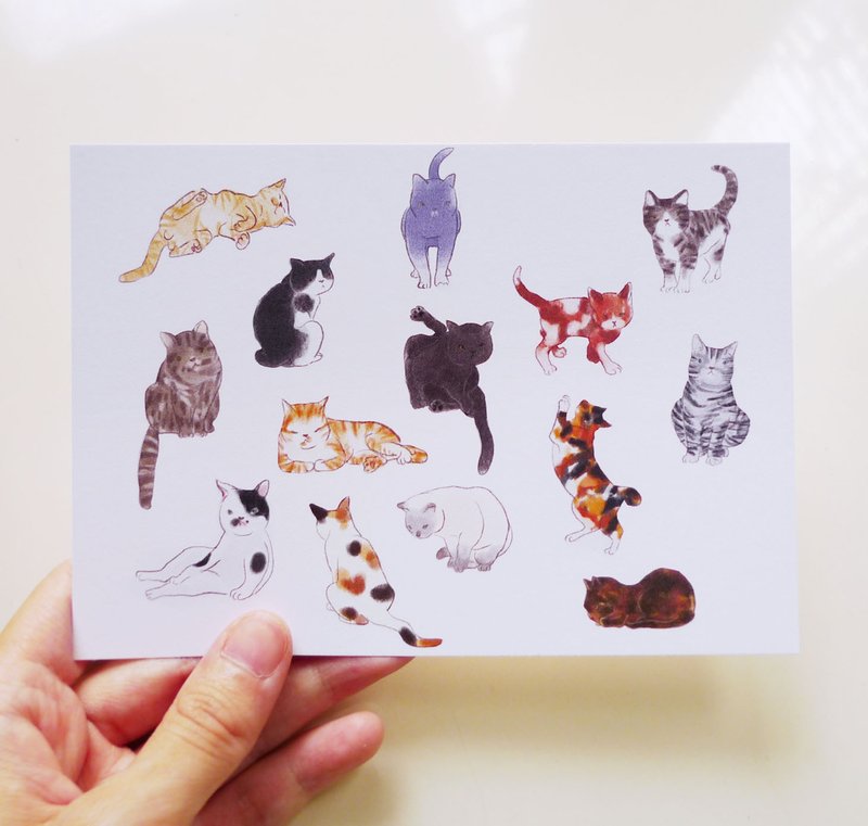 明信片-花花猫世界 - 卡片/明信片 - 纸 白色