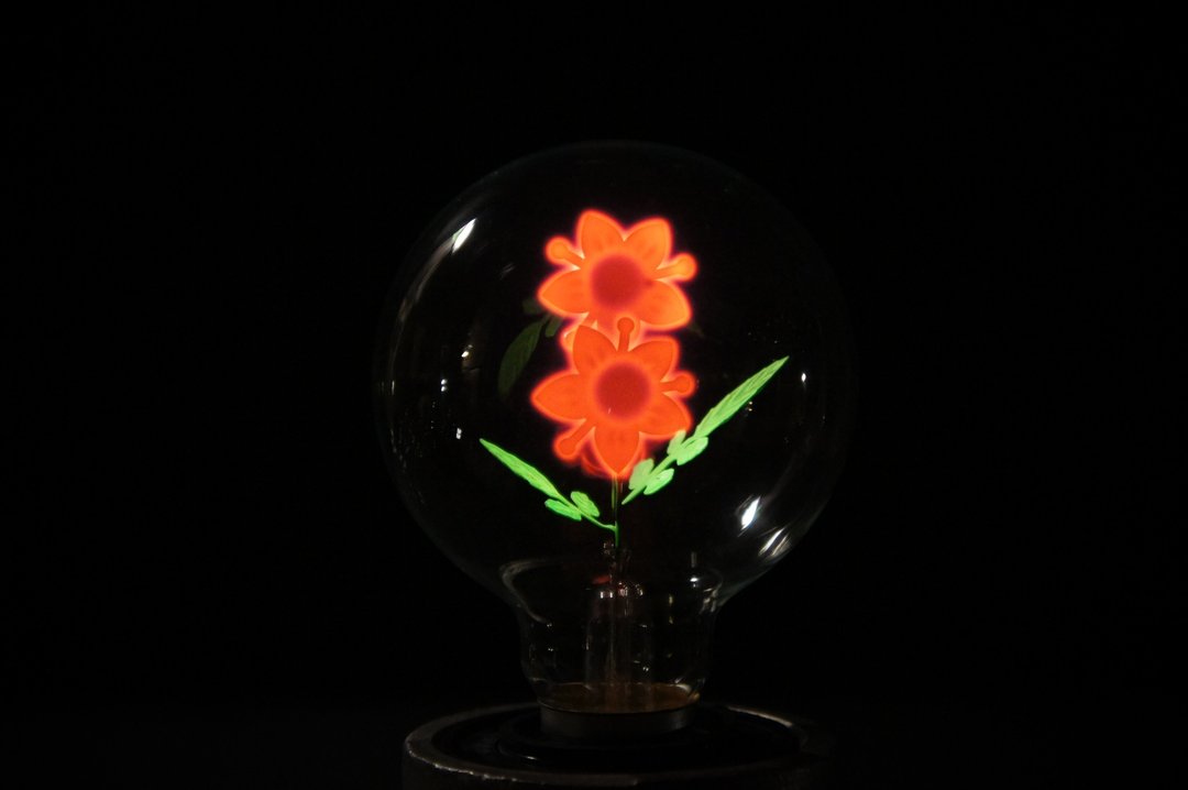 Edison-industry       火灯泡    向日葵花     迎向阳光  阴影永远在您后面  [纯灯泡] - 灯具/灯饰 - 玻璃 粉红色