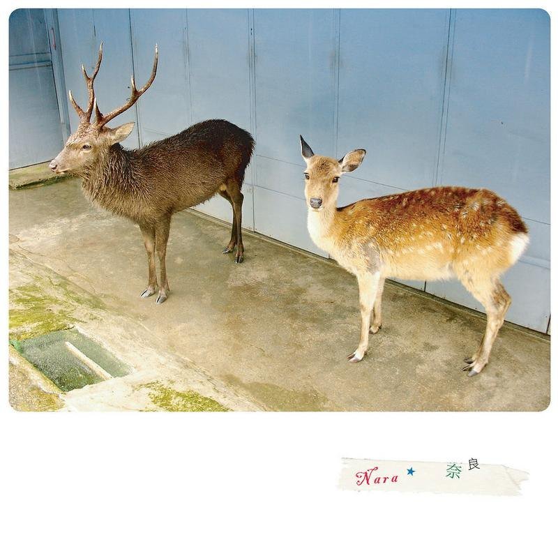 旅行摄影明信片 ★ 27 - 卡片/明信片 - 纸 