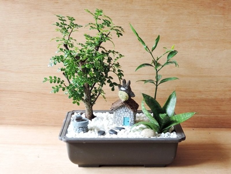 日系小品赏 · 龙猫居 - 植栽/盆栽 - 植物．花 