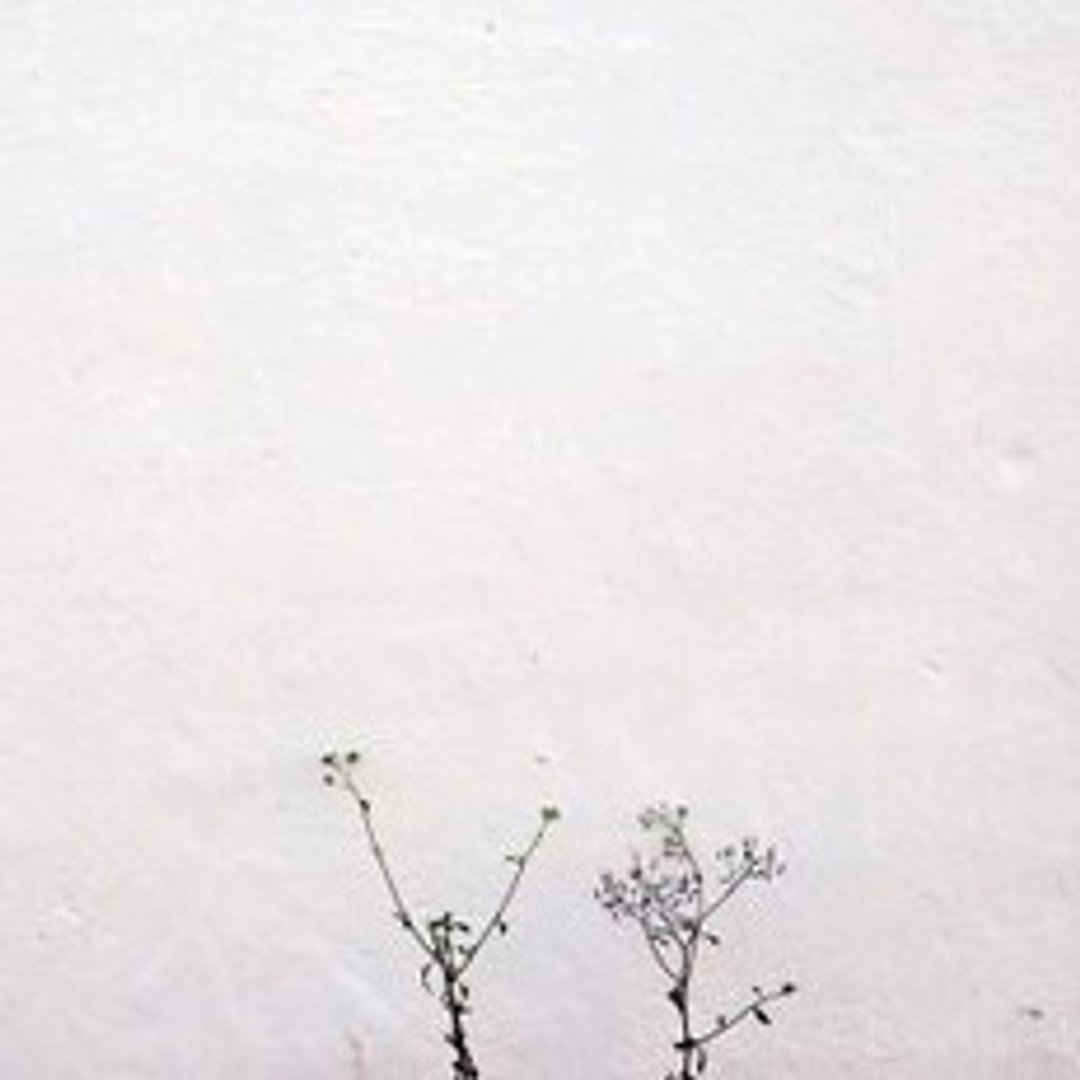 [定制印章]stamp for u - 印章/印台 - 其他材质 