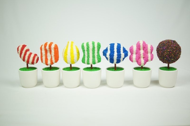 [BONSAI MAN]糖果小树 加甜版 - 植栽/盆栽 - 其他材质 