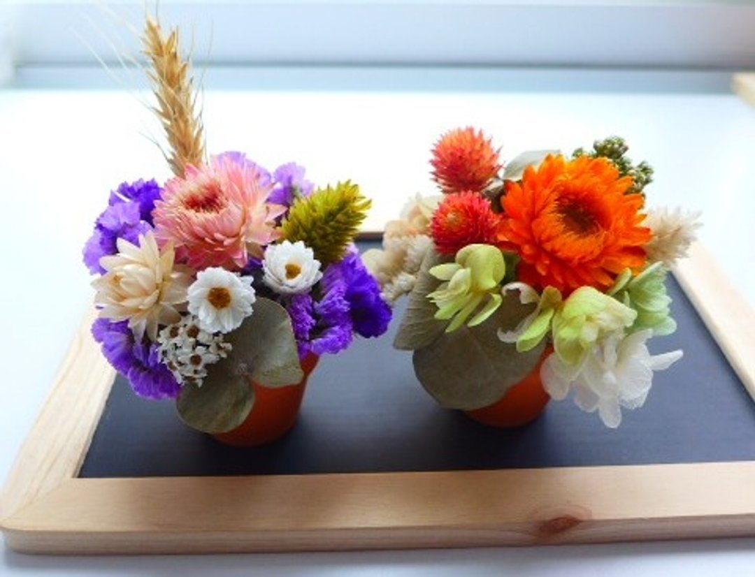 [Love flower decoration ] - ZAKKA干燥花花迷你盆组合(数量:2) - 植栽/盆栽 - 植物．花 多色