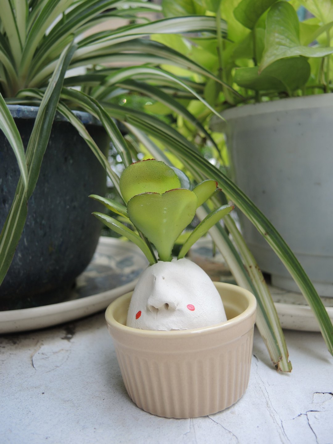 欧吉桑（植物） #01 摆饰 桌饰 - 摆饰 - 粘土 白色
