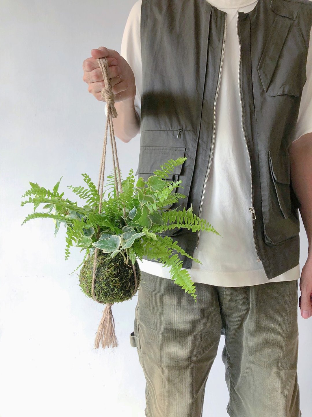 野营风悬挂蕨类苔球 - 植栽/盆栽 - 植物．花 绿色
