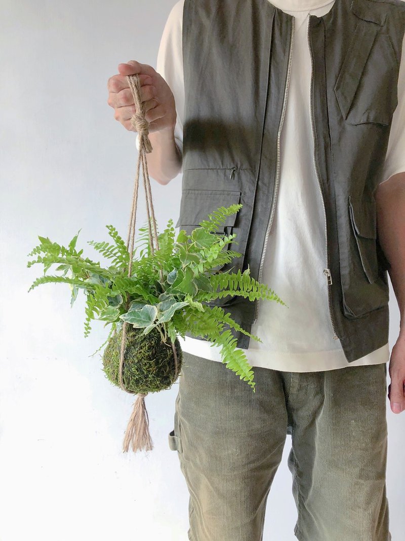 野营风悬挂蕨类苔球 - 植栽/盆栽 - 植物．花 绿色