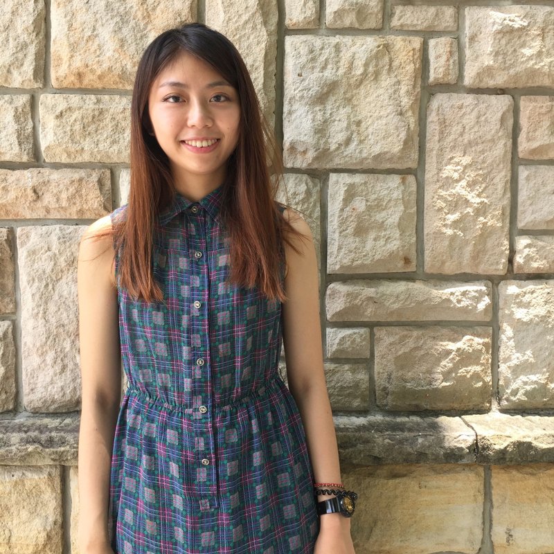 古着洋装_/ 绿方格 / 印花 / 雪纺 - 洋装/连衣裙 - 其他材质 多色