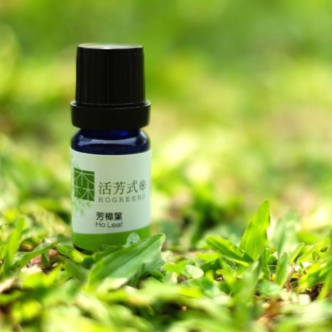 台湾芳樟叶精油 - 香薰/精油/线香 - 植物．花 