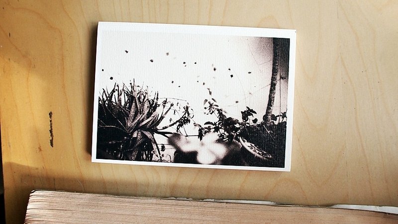 OldNew Lady-摄影明信片【路边风景】 K6 - 卡片/明信片 - 纸 黑色