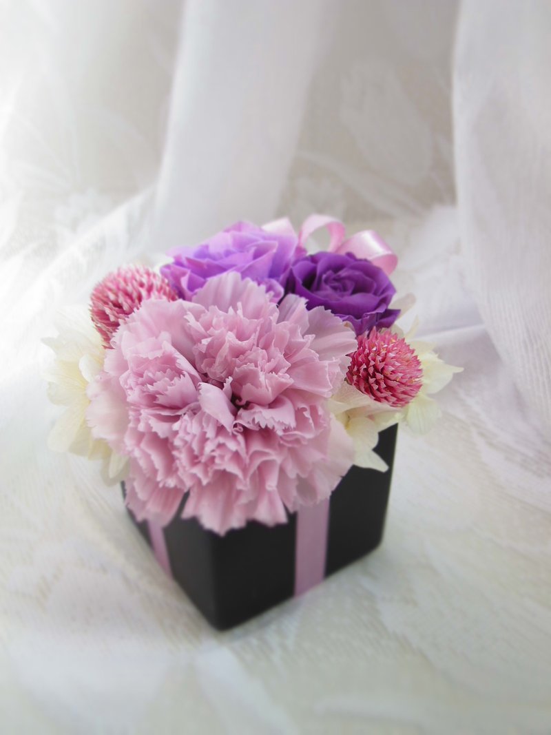 母亲节 紫色康乃馨花礼 - 植栽/盆栽 - 植物．花 紫色