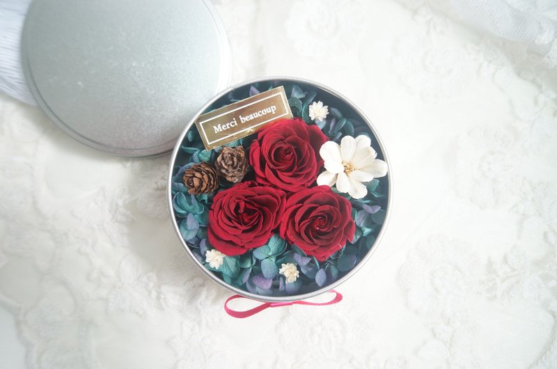 最美好的礼物 恒星花盒 - 植栽/盆栽 - 植物．花 红色