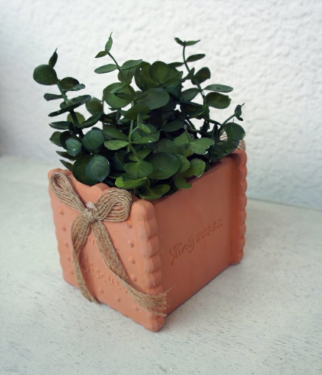 饼干造型的植物盆栽 pot plant [am I cookie?] - 植栽/盆栽 - 其他材质 咖啡色