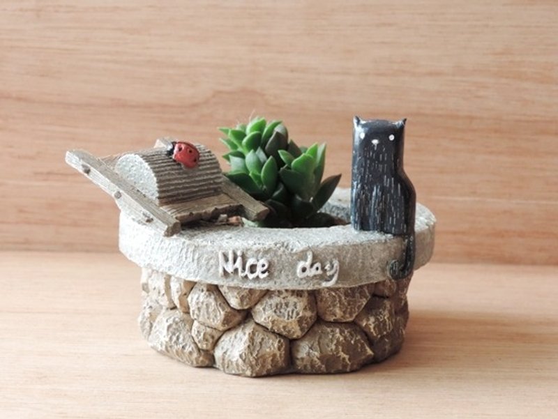 日系造景 · 多肉植物 - 植栽/盆栽 - 植物．花 