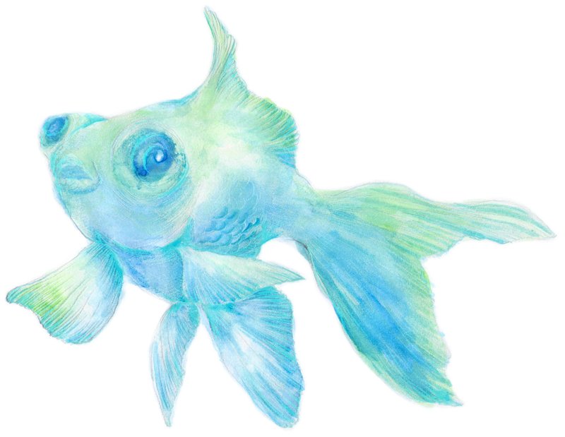 凸眼金鱼贴纸 / demekin - 贴纸 - 其他材质 蓝色