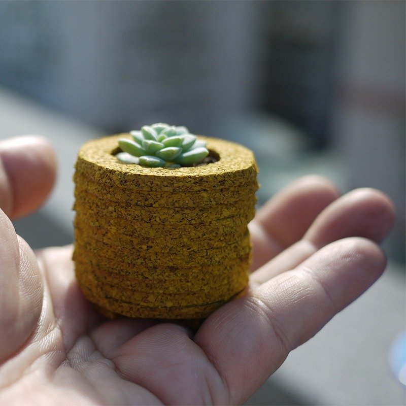 多肉植栽、生日礼品、(迷你软木盆栽、峨嵋山、雪莲、五重之塔、火龙果苗)疗愈小物、时尚简约、软木堆叠、手作工艺、居家/办公室饰品、定制服务、DIY - 植栽/盆栽 - 植物．花 绿色