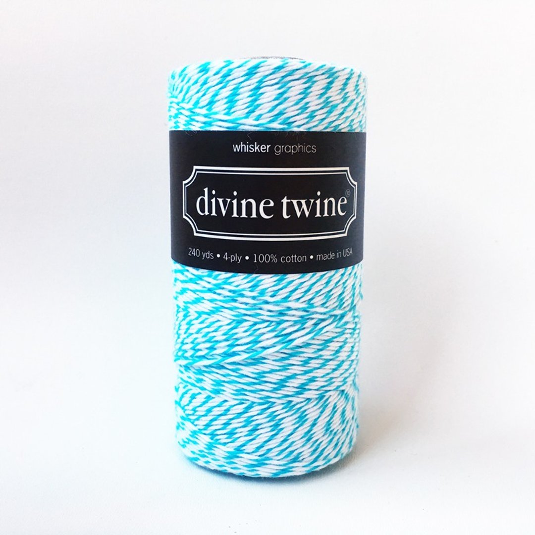 美国进口 Divine Twine 双色棉线 / Aqua 水蓝 - 包装材料 - 棉 蓝色