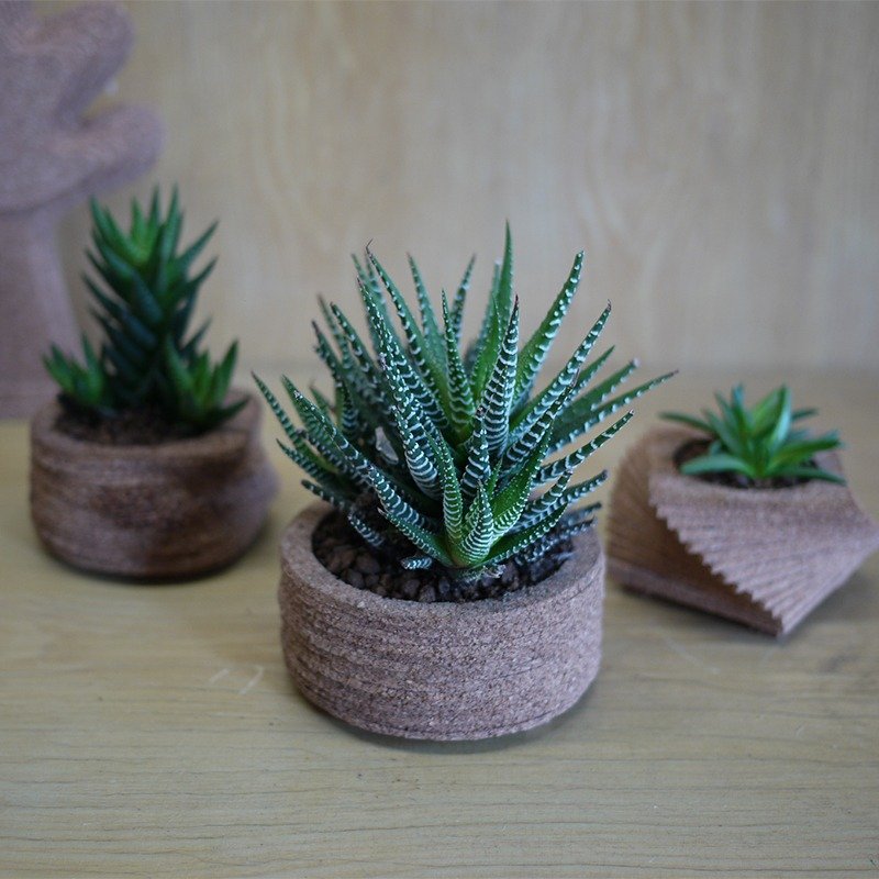 创意花盆、室内盆栽、创意植栽、多肉植物(条纹十二卷)、软木手作工艺、居家/办公室饰品、疗愈小物、定制服务、DIY、礼品 - 植栽/盆栽 - 植物．花 咖啡色