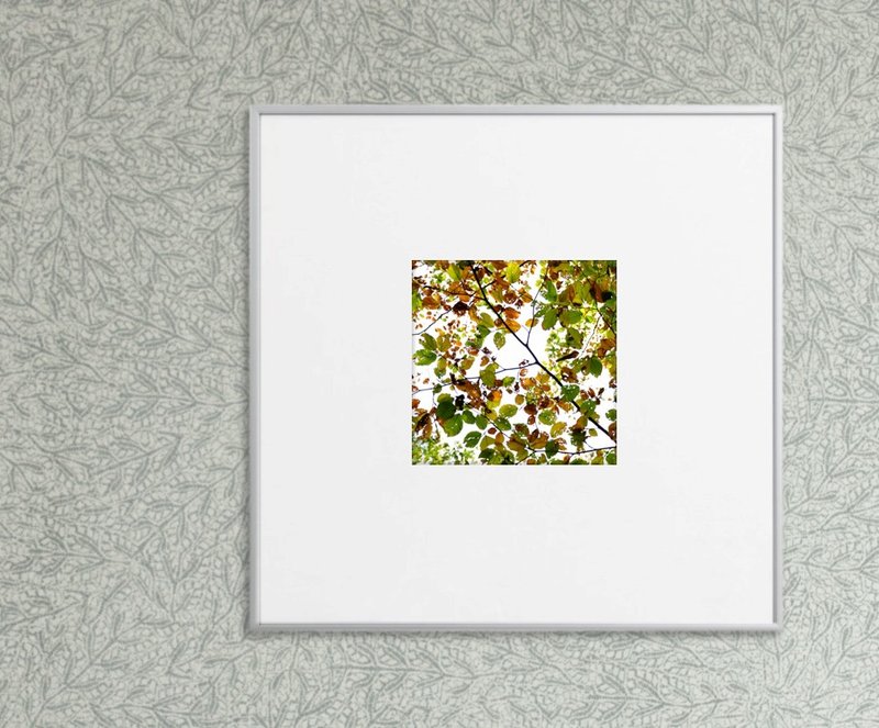 摄影   缤纷的叶子-调色师大自然 (含框贩售) - 海报/装饰画/版画 - 纸 橘色