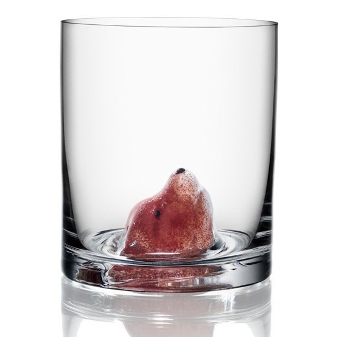 400cc【Kosta Boda 瑞典进口】 狐 New Friends Tumbler Fox 威士忌酒杯雕刻 烈酒杯 刻字 口吹水晶玻璃 小狐狸 - 酒杯/酒器 - 玻璃 红色