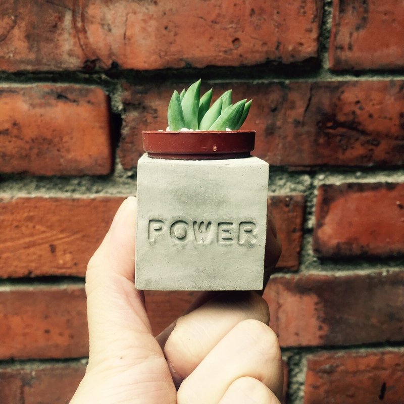 Power~!!（能量满点）多肉磁铁盆栽 - 植栽/盆栽 - 水泥 黑色