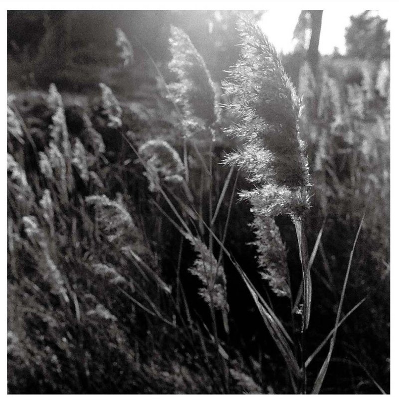 马芊伶的摄影作品-无题-单张(明信片 / 画卡 / 收藏品) - 摄影集 - 纸 白色