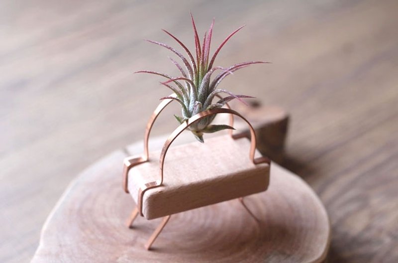 红铜积木￥空气凤梨 - 植栽/盆栽 - 植物．花 红色