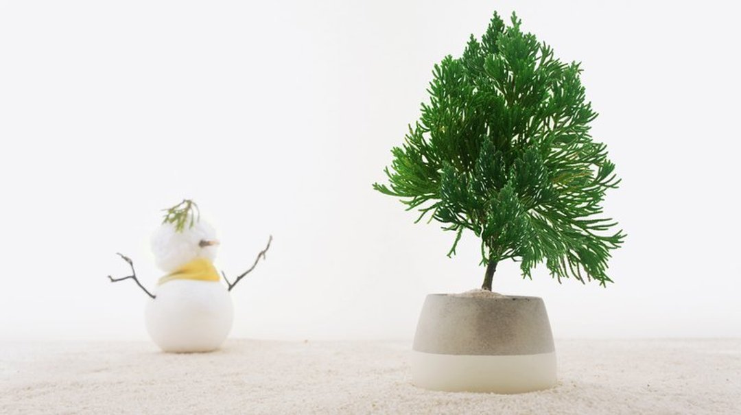 KALKI'D亲水泥花器 - 雪泥(短)【剩最后一个】 - 植栽/盆栽 - 水泥 白色
