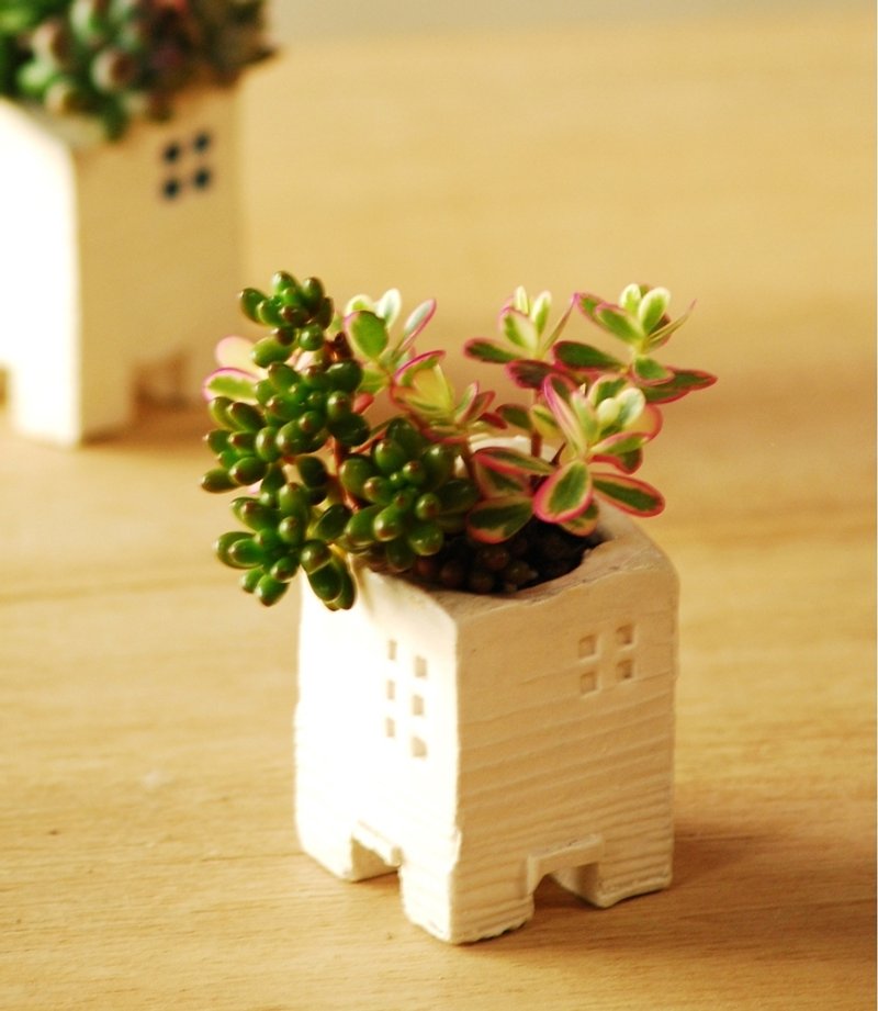 迷你房屋-多肉植物盆器 白 - 植栽/盆栽 - 陶 白色