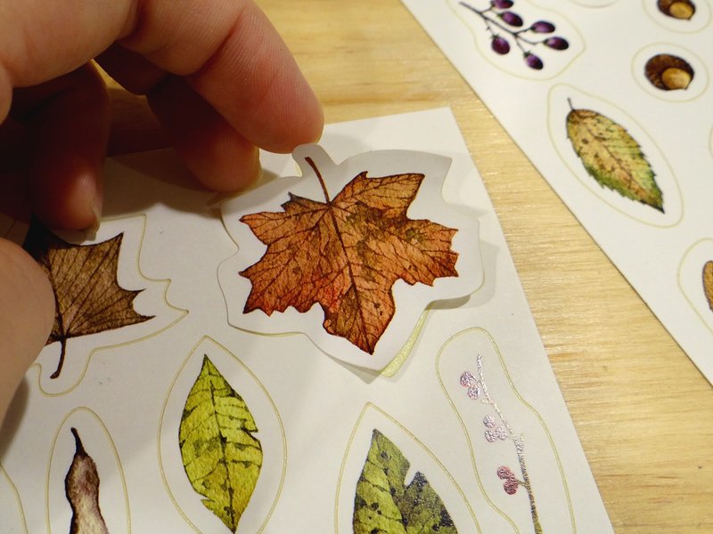 15'秋季[秋季植物贴纸单枚入] - 贴纸 - 纸 多色