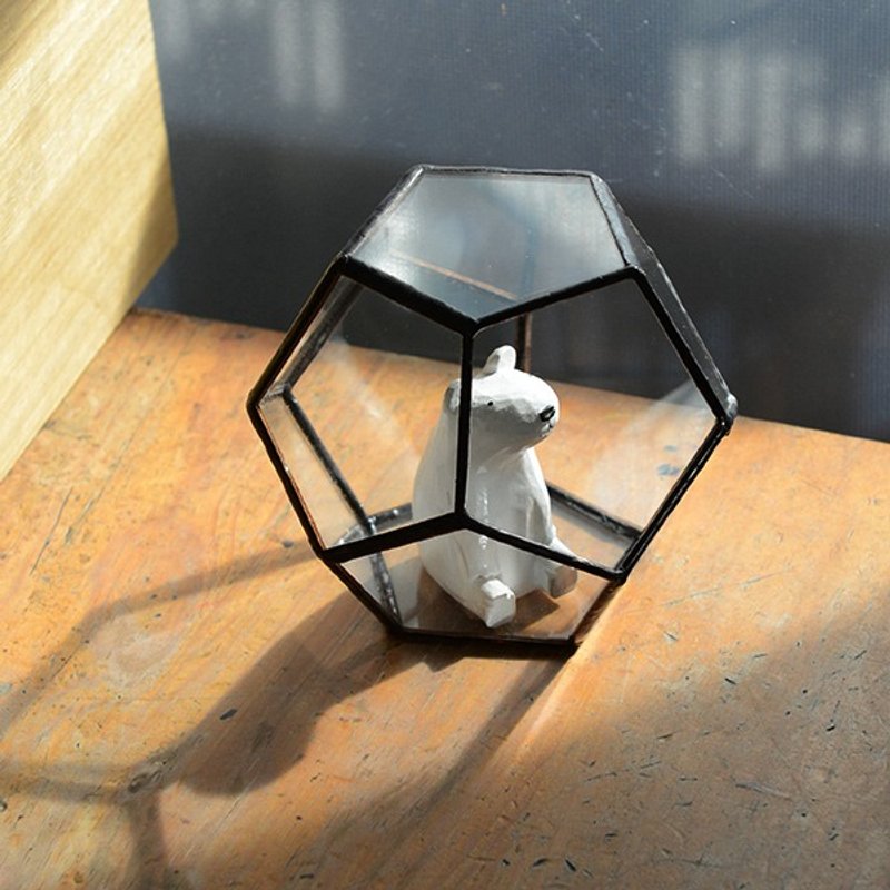 手作温室 玻璃五边形十二面体 GreenHouse  收藏/展示 - 植栽/盆栽 - 玻璃 白色