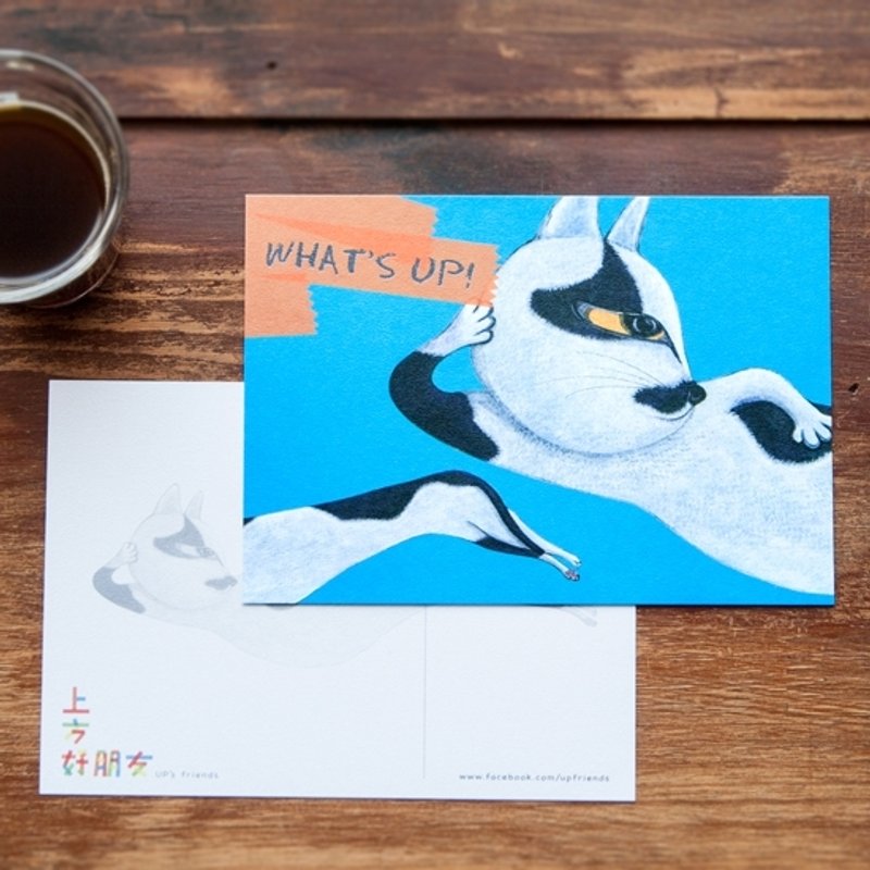 接猫系列_WHAT"S UP! - 卡片/明信片 - 纸 多色