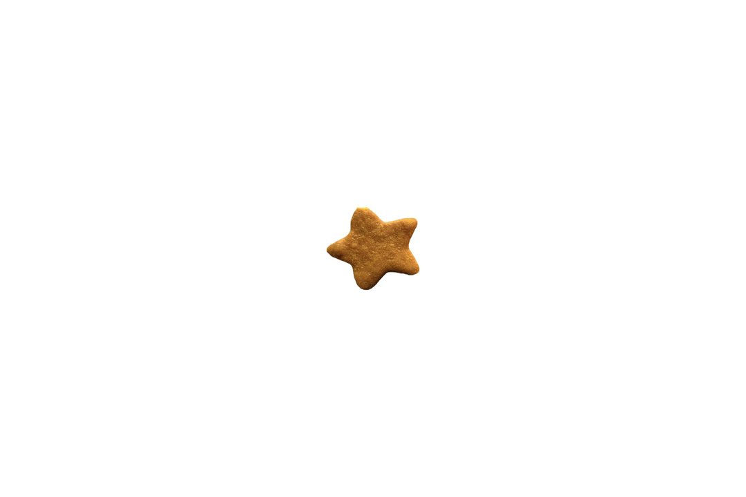 小南瓜 - 手工饼干 - 新鲜食材 黄色