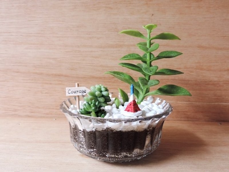 欧风植物园《限量款》 - 植栽/盆栽 - 植物．花 