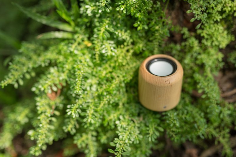 cannon MKII | 5cm 枫炮蓝牙喇叭 MKII - 扩音器/喇叭 - 木头 咖啡色