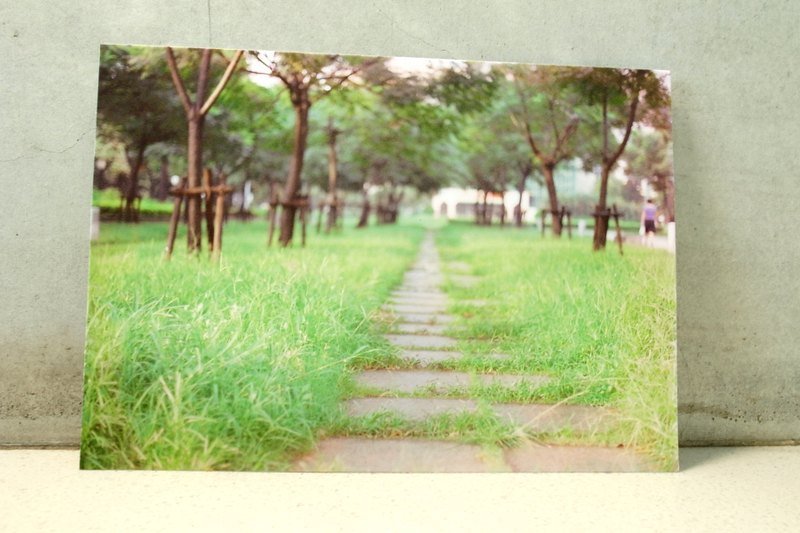 枯木&CryWood手作明信片【049】─向往草原 - 卡片/明信片 - 纸 绿色