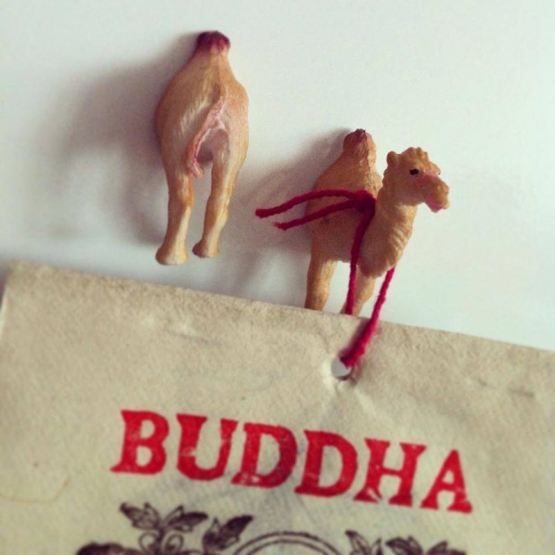 / 动物园 / 1+1=1 晒伤骆驼 磁铁 - 冰箱贴/磁贴 - 塑料 金色