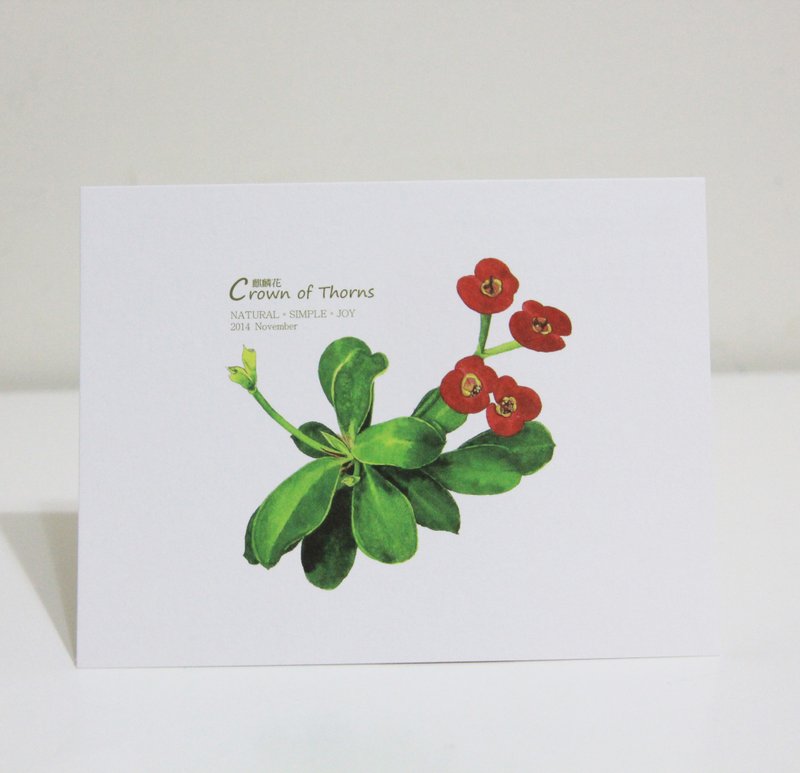 湘-NSJ 手绘明信片 麒麟花 - 卡片/明信片 - 纸 多色