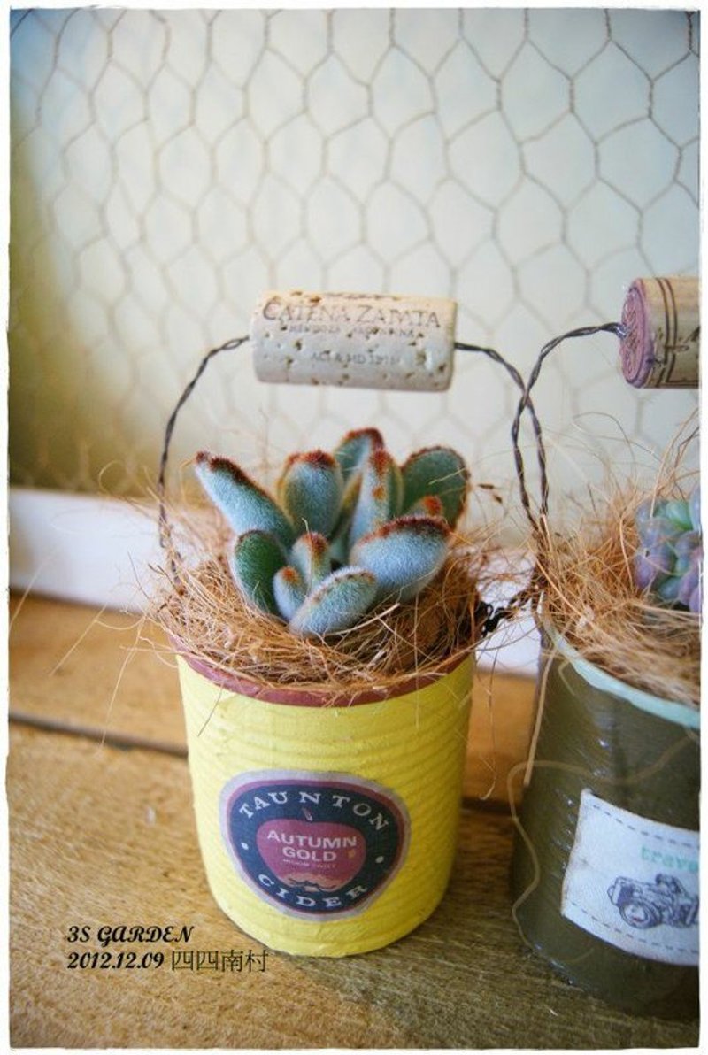 DIY提把环保多肉植栽(下单前请与设计师连系,需订制喔) - 植栽 - 植物．花 